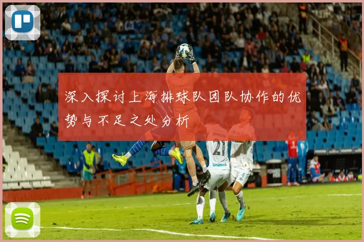 深入探讨上海排球队团队协作的优势与不足之处分析