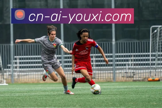 爱游戏网页版品牌故事